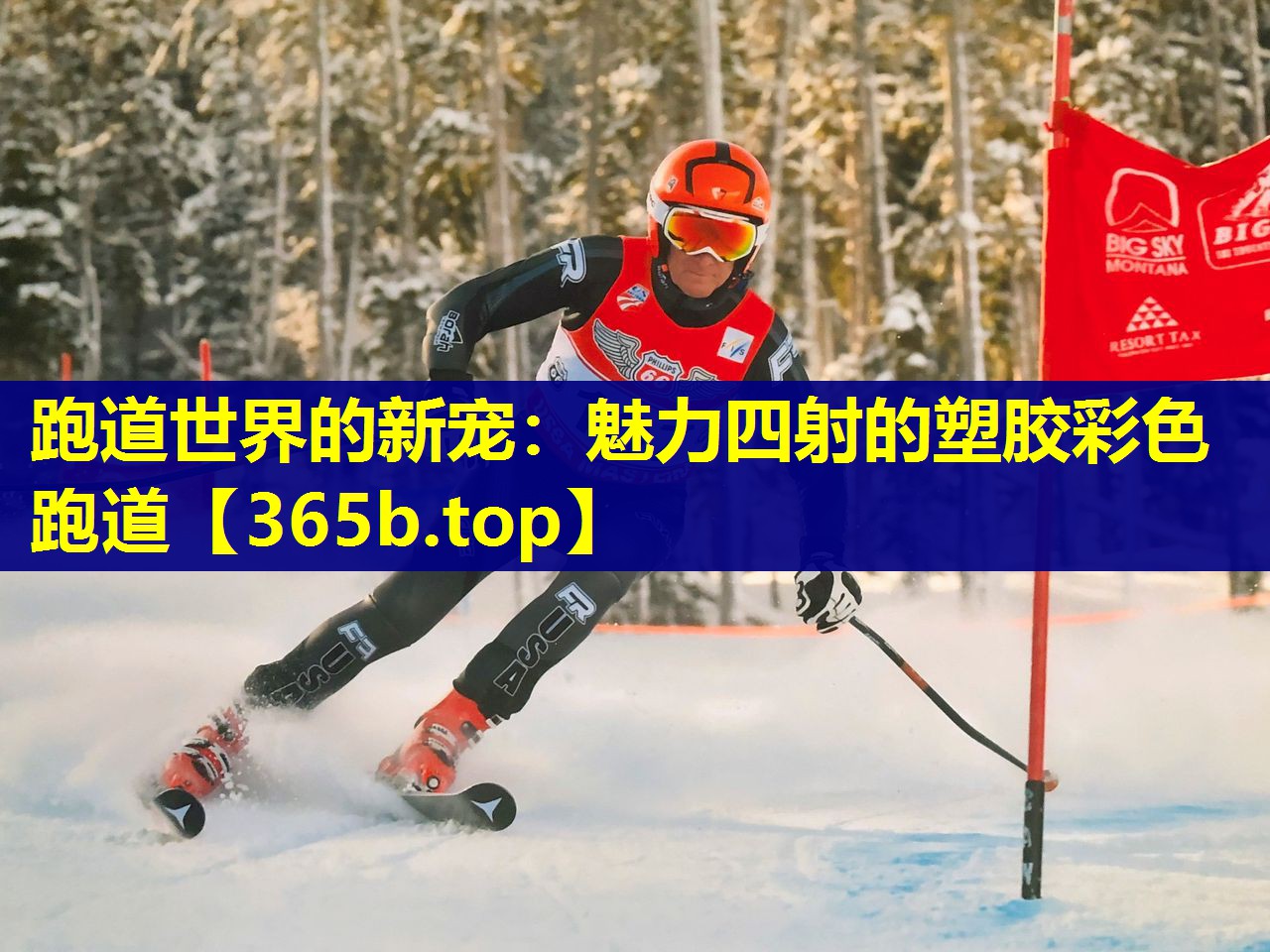 跑道世界的新宠:魅力四射的塑胶彩色跑道 跑道世界的新宠:魅力四射的塑胶彩色跑道