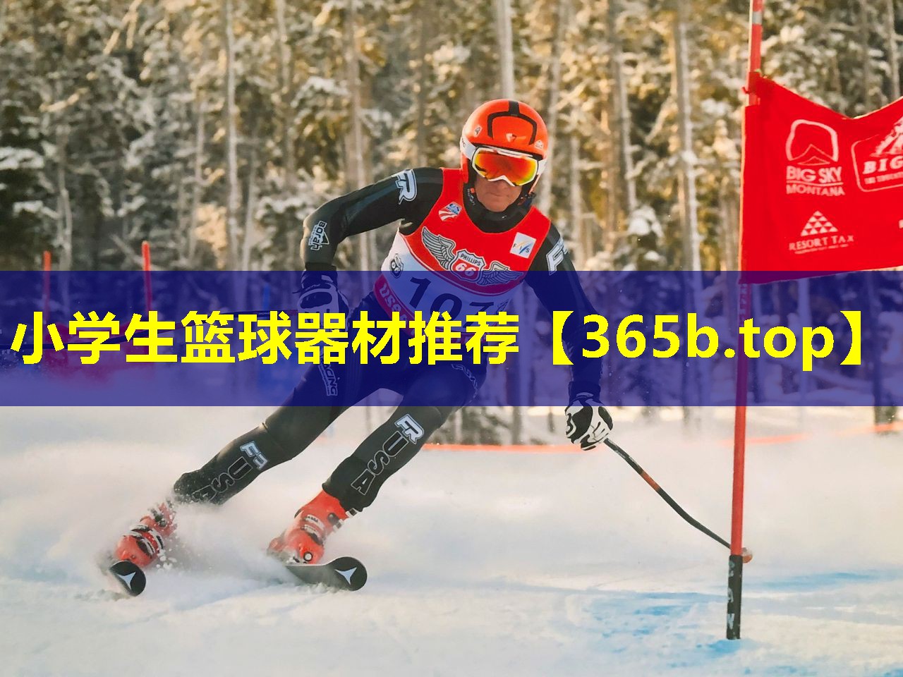 小学生篮球器材推荐 小学生篮球器材推荐