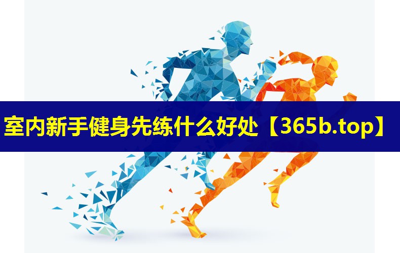 室内新手健身先练什么好处