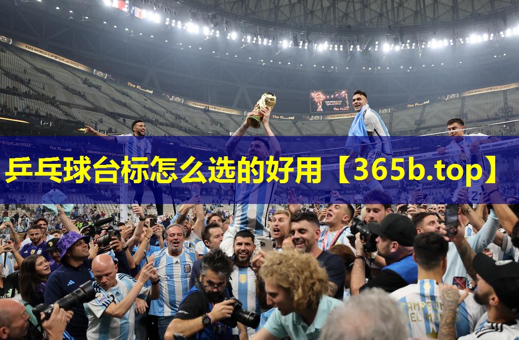 乒乓球台标怎么选的好用 乒乓球台标怎么选的好用
