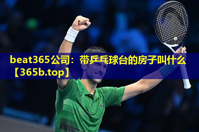 带乒乓球台的房子叫什么