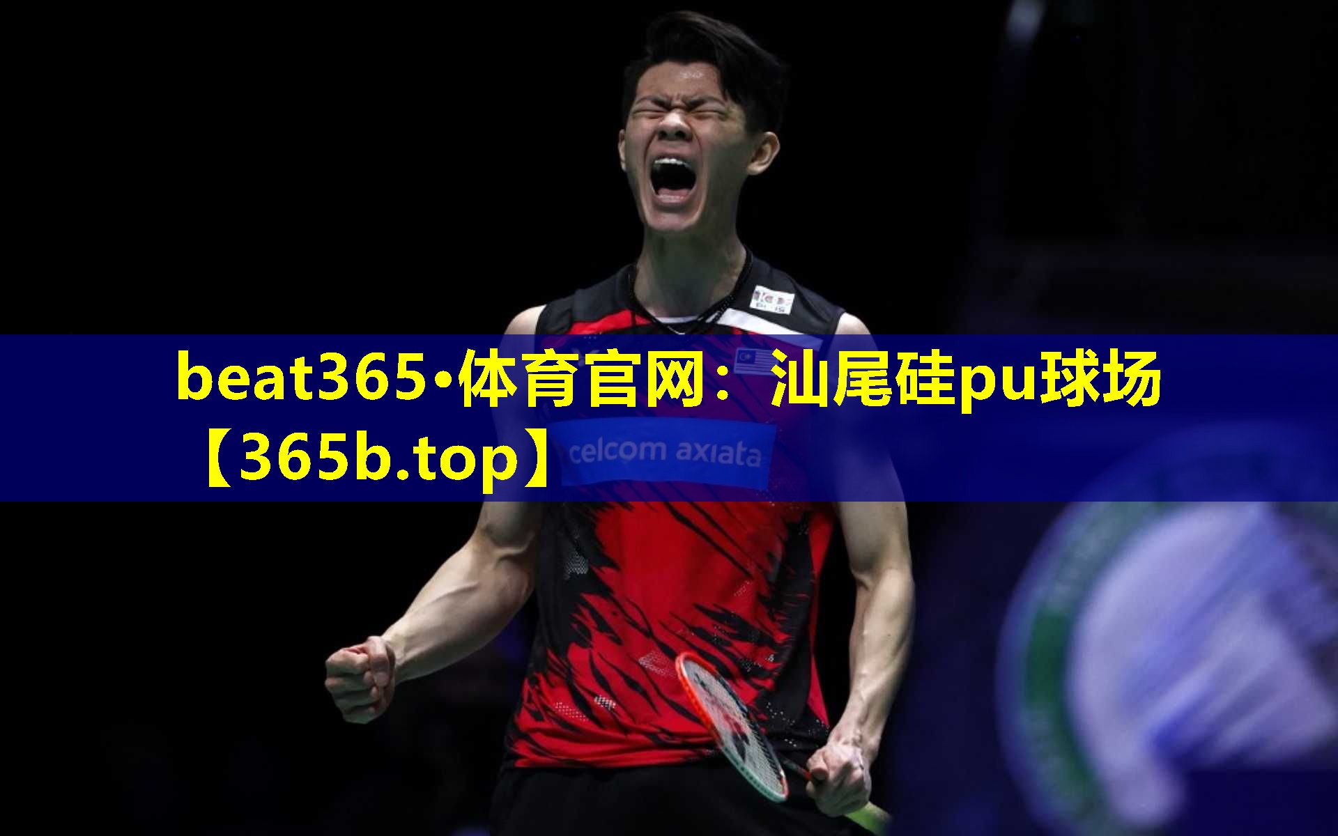 汕尾硅pu球场 汕尾硅pu球场
