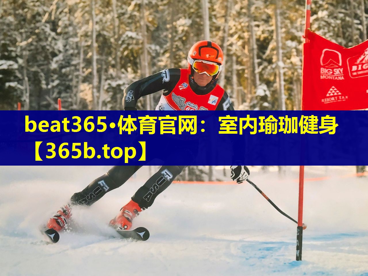 室内瑜珈健身 室内瑜珈健身