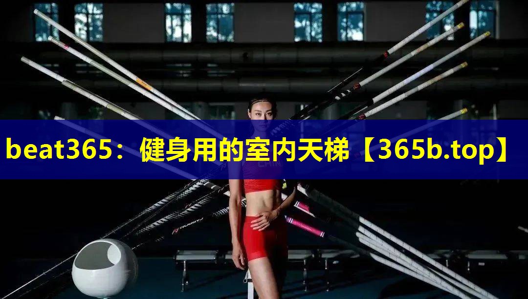 健身用的室内天梯