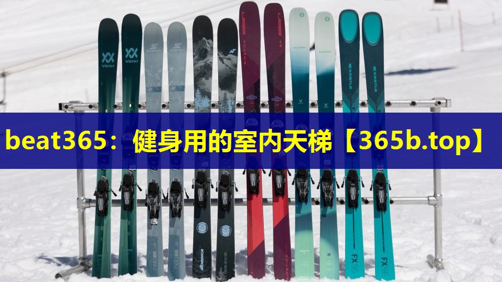 健身用的室内天梯