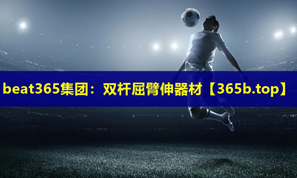 双杆屈臂伸器材 双杆屈臂伸器材